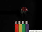 L_V20d4076 A16q204 R827 dM la f82.JPG L_V20d4076 A16q204 R827 dM la f82